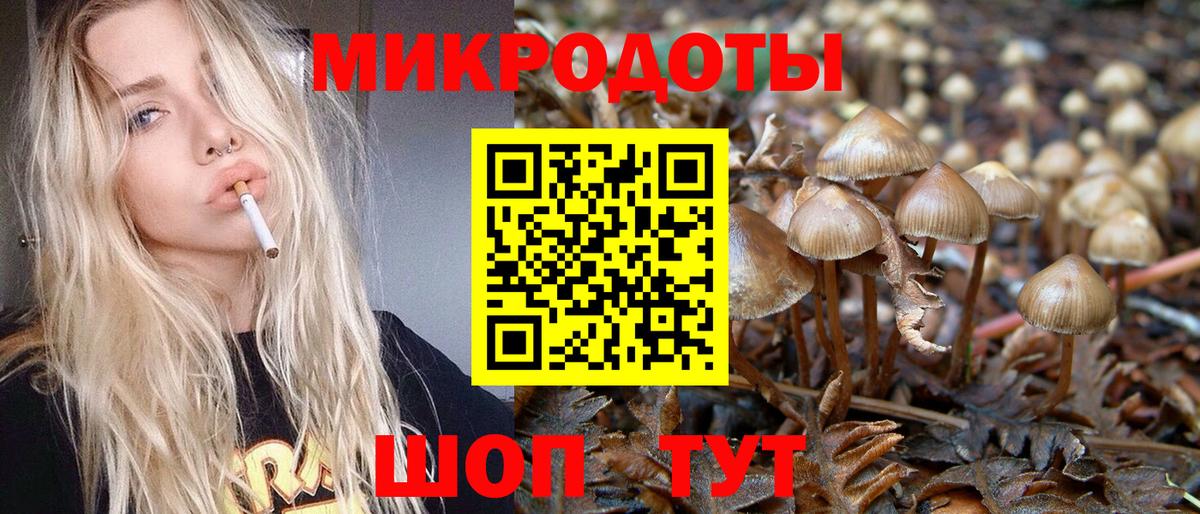 Моздок  Галлюциногенные грибы Cubensis  Вход с VPN  Псилоцибиновые грибы Psilocybe 