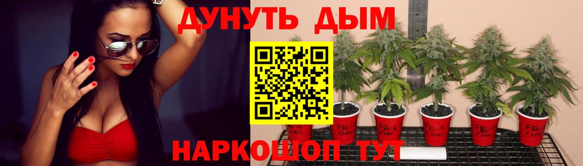 Бошки Шишки SATIVA & INDICA  Конопля марихуана  Вход с VPN  Шишки марихуана план  Моздок 